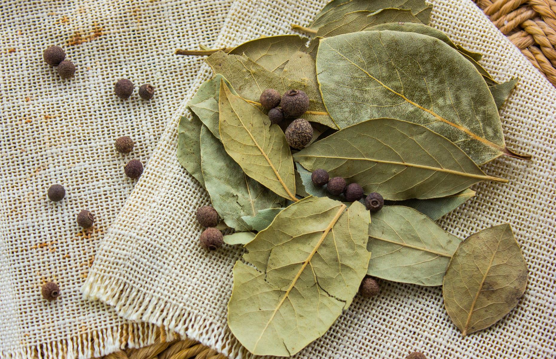 Dry brine: bay, pepper & allspice brine